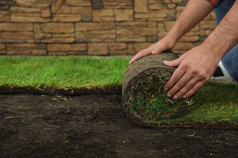 Bluegrass Sod Installation in Ventura County, CA