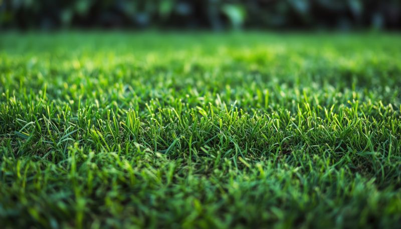 Commercial Sod Installation in Ventura County, CA