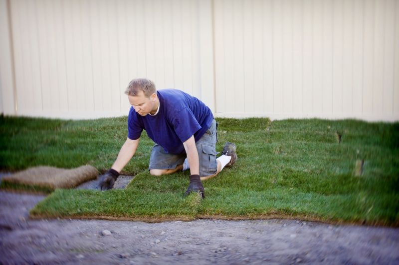 Grass Installation in Aiken, SC