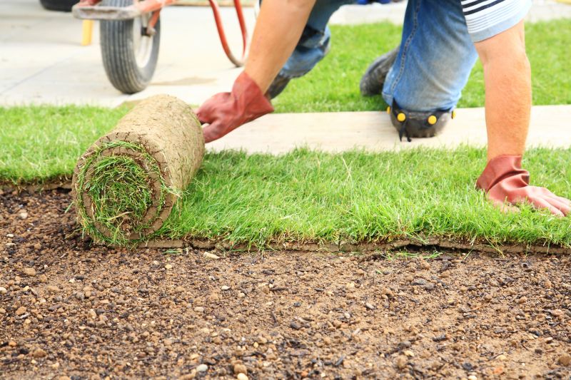 Sod Installation in Honolulu, HI