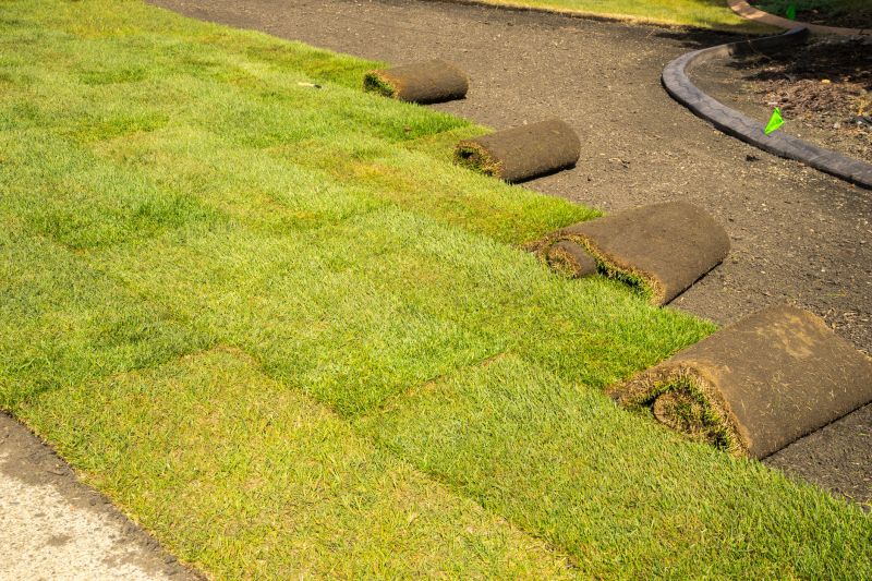 Summer Sod Preparation