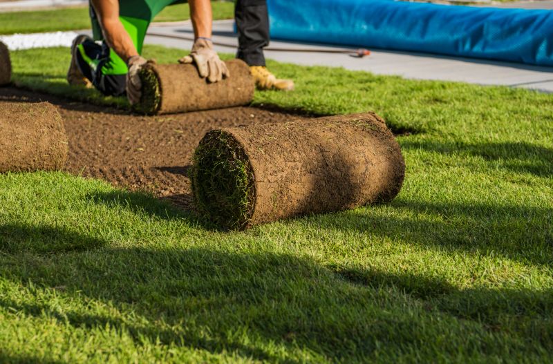 Sod Laying Process
